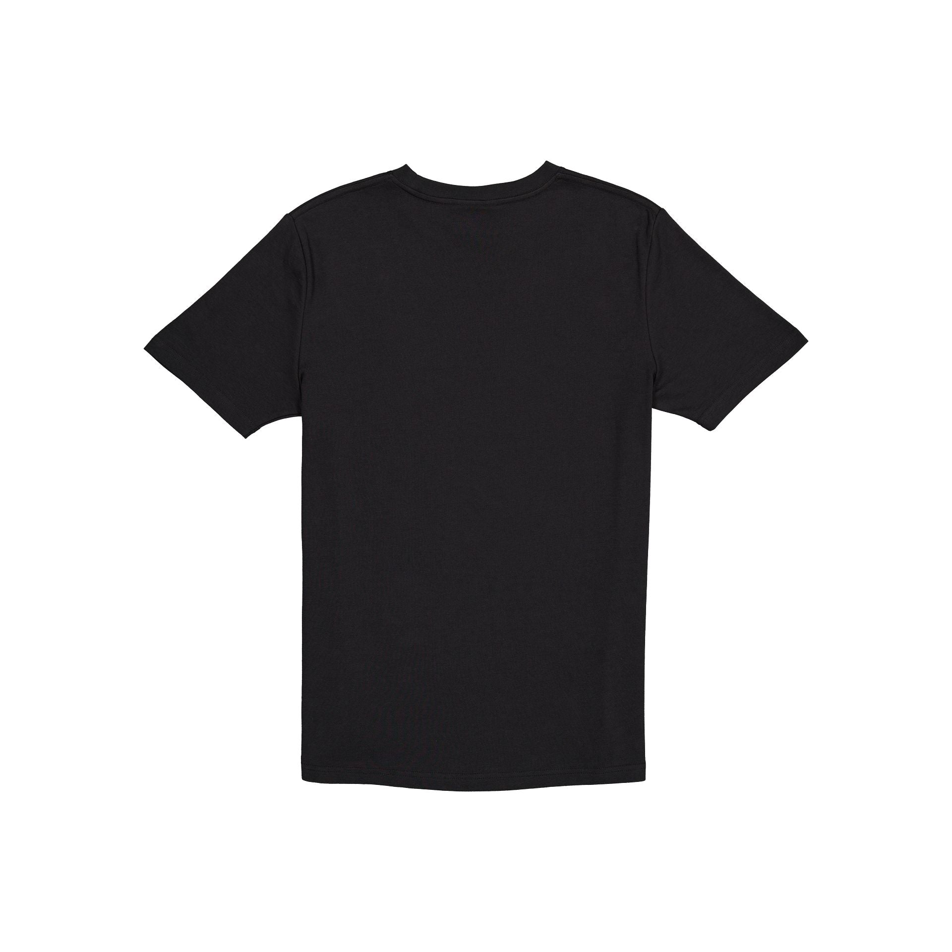 Boston Celtics 2024 NBA Champions Edition T-Shirt